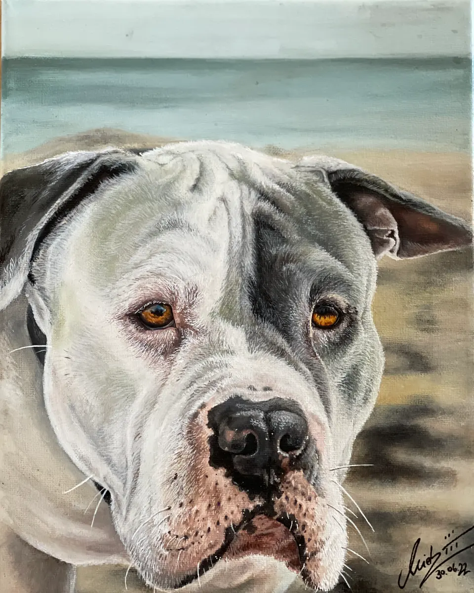 Realistisches Acryl-Portrait einer weissen Bulldogge am Strand