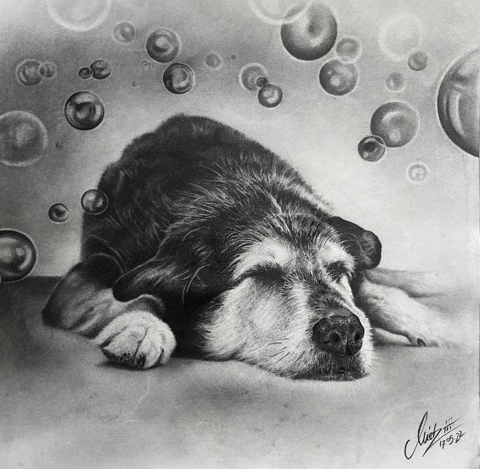 Bleistiftzeichnung eines schlafenden Hundes mit Seifenblasen