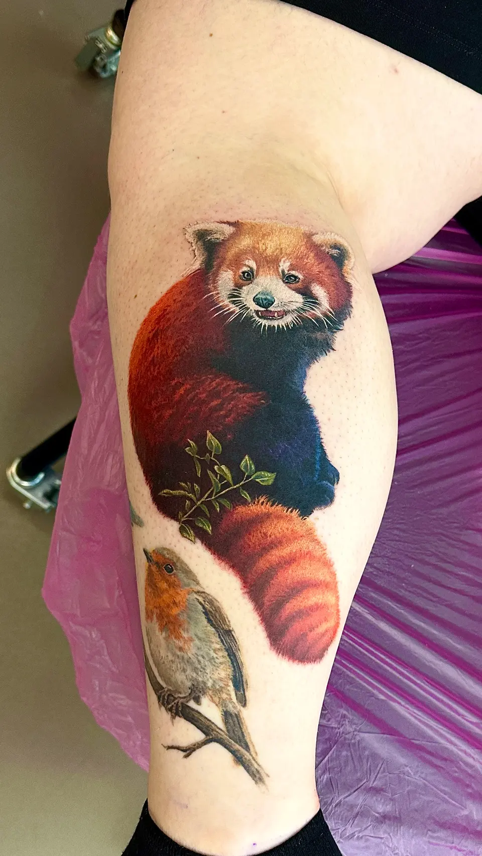 Roter Panda und Rotkehlchen als farbiges Tattoo